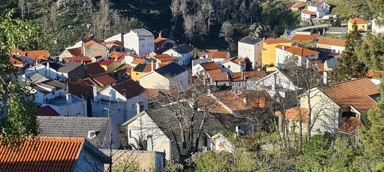 Casa Na Serra, Sabugueiro Sabugueiro  Eksteriør bilde